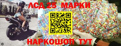 дмт Краснодар