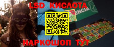 дмт Краснодар