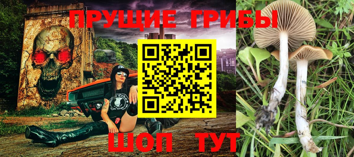 Галлюциногенные грибы ЛСД  Вход с VPN  Усолье-Сибирское 