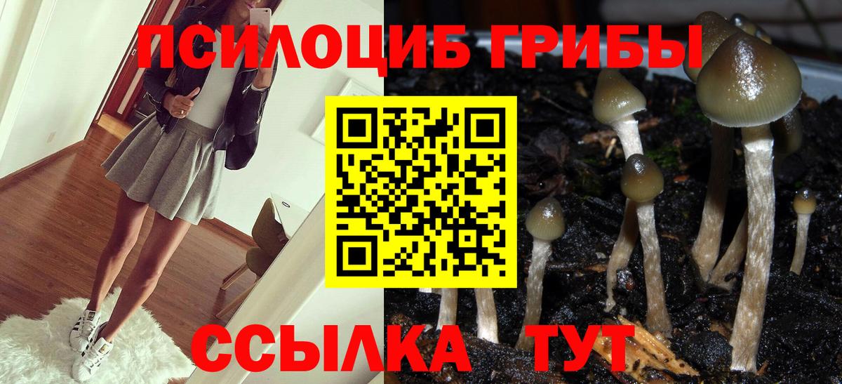 Галлюциногенные грибы Magic Shrooms Усолье-Сибирское